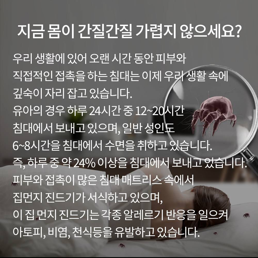 이미지명