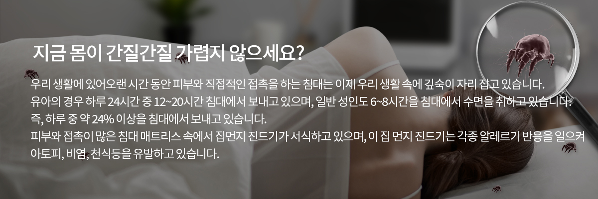 이미지명