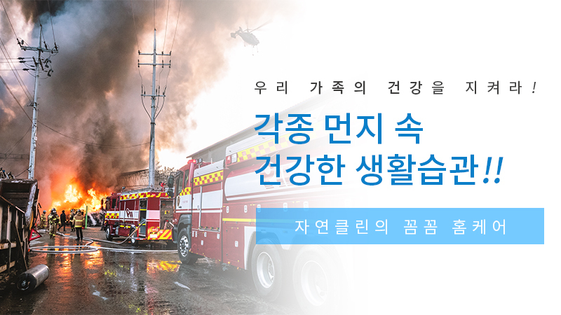 이미지명