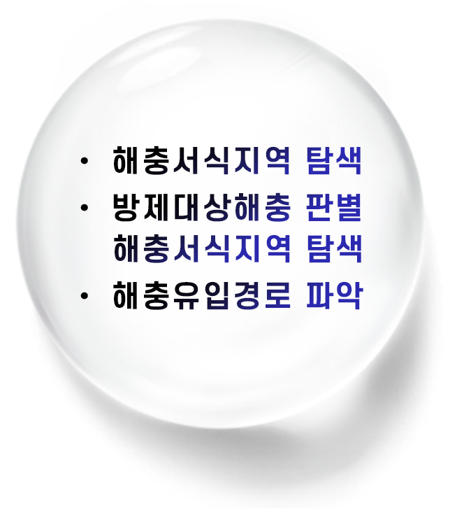 세심한 현장답사
